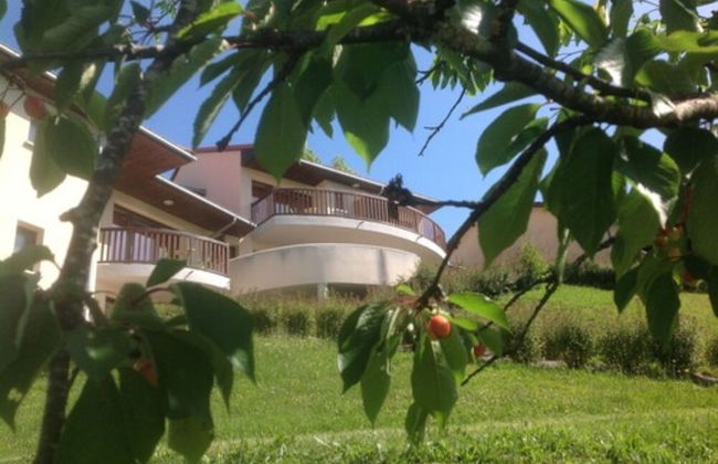 La Chataigneraie - Foto 22