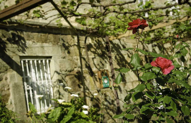 Casa de Turismo Rural Os Petroglifos - Foto 43