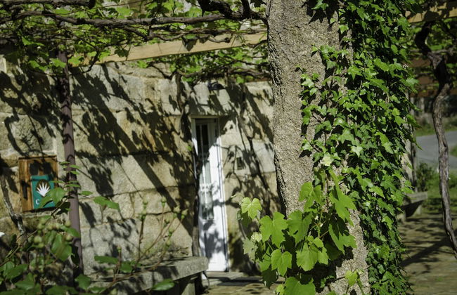 Casa de Turismo Rural Os Petroglifos - Foto 41