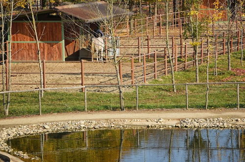 Foto 47 - Agriturismo Corte Benetti