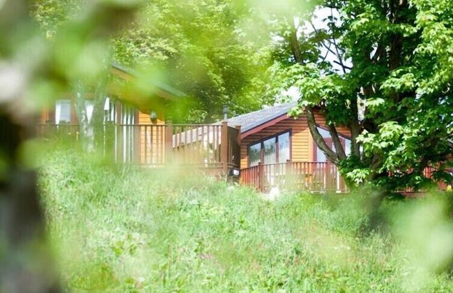 Killigarth Manor Holiday Park - Foto 18