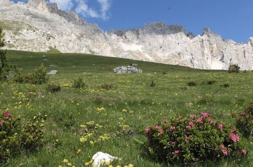 Photo 25 - Lovely apt With Garden in South Tyrol