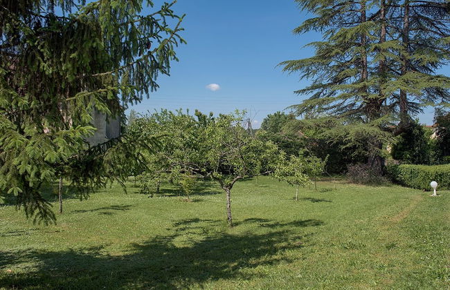 Domaine de Vielcastel - Foto 38