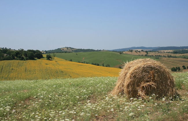 Podere Maremma Spa & Ristorante - Foto 34