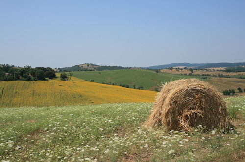 Photo 28 - Podere Maremma Spa & Ristorante