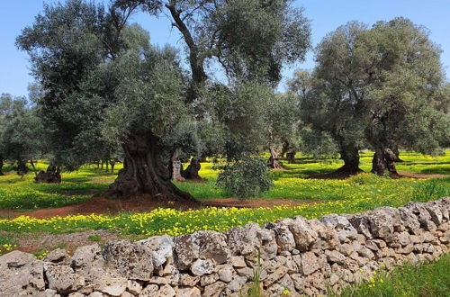 Photo 19 - Beautiful Garden Apartment in Cisternino