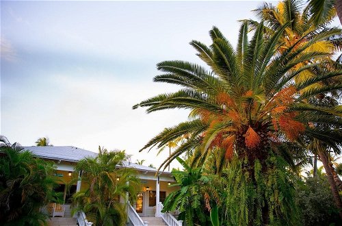 Photo 16 - The Caribbean Resort Canary Island Palm South