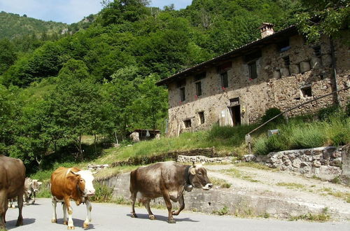 Photo 37 - Le Fratte Sport and Relax in Hilly Area