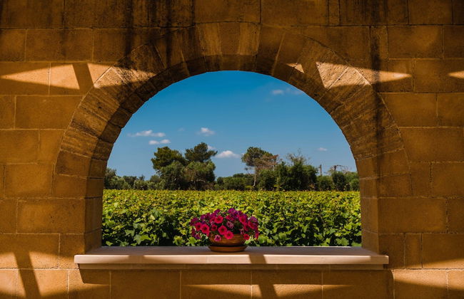 Tenuta Flora Maria - Foto 66
