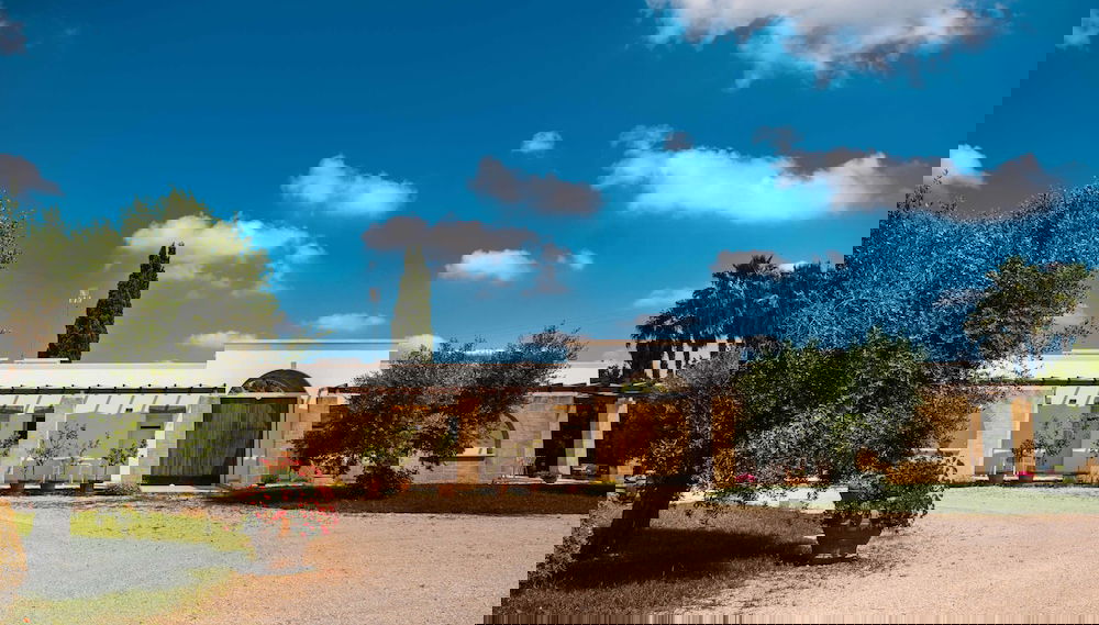 Imagem principal
