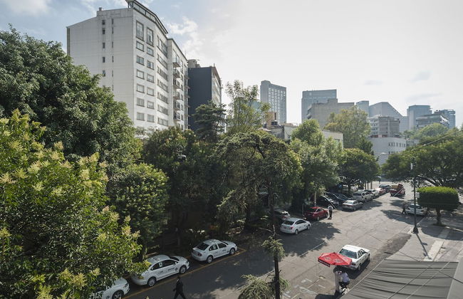 Lovely Terraza Masaryk - Photo 71