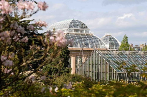 Photo 22 - Botanic Garden Apartment Edinburgh