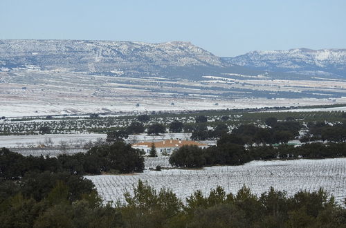 Foto 53 - Finca El Romeral