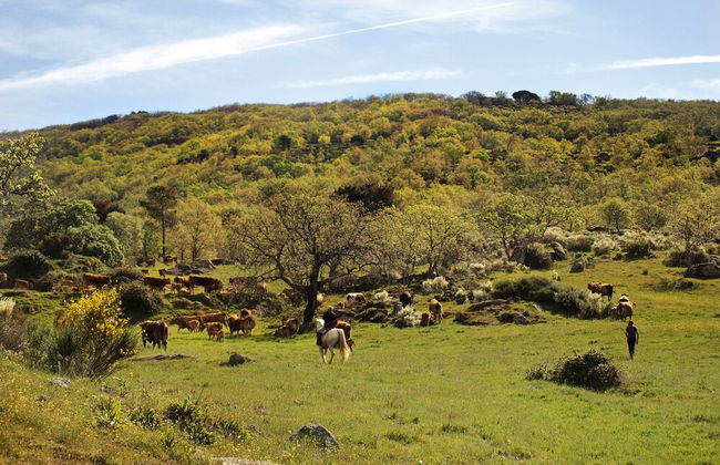 Finca El Cabezo - Foto 19
