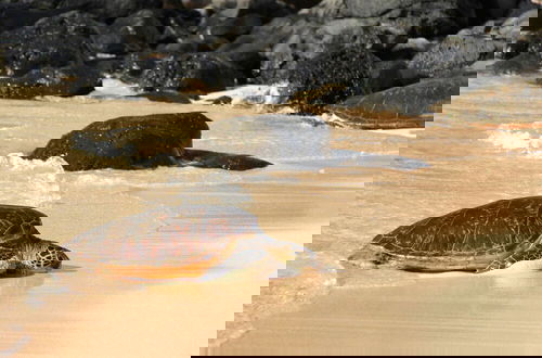 Photo 44 - Napili Point B5