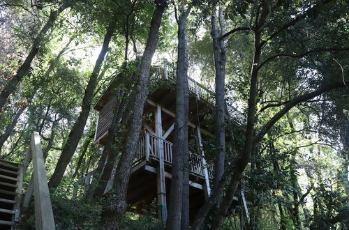 Photo 40 - Orion Tree houses