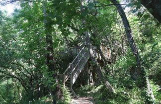 Photo 3 - Orion Tree houses