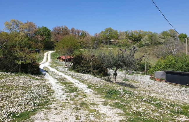 Agriturismo Bosimano - Foto 36