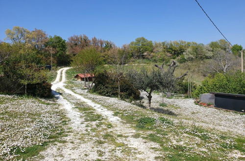 Photo 36 - Agriturismo Bosimano