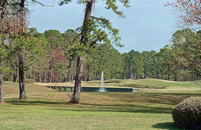 Fairways Villas - Photo 12