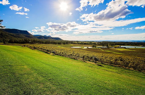 Photo 30 - Audrey Wilkinson Vineyard