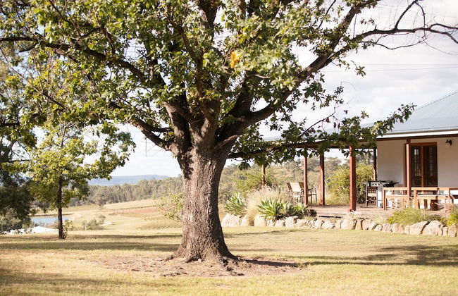 Audrey Wilkinson Vineyard - Foto 21