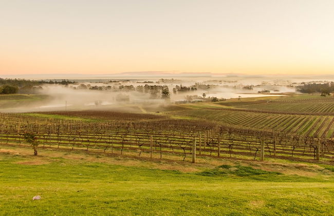 Audrey Wilkinson Vineyard - Foto 28