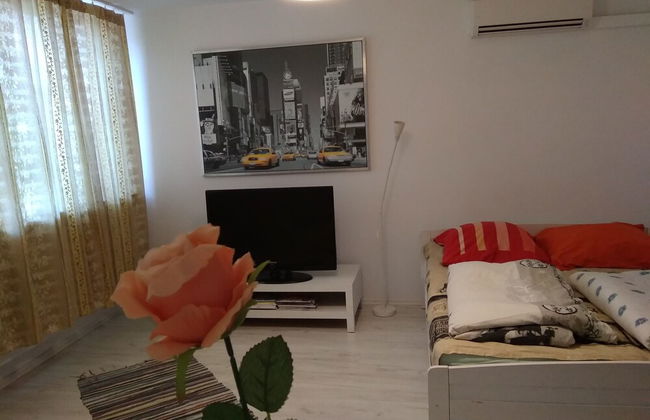 Apartament Jasny Noclegi Płock - Foto 2