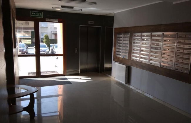Apartament Jasny Noclegi Płock - Foto 7