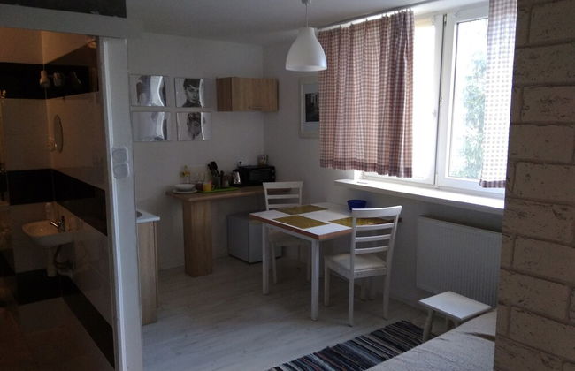 Apartament Jasny Noclegi Płock - Foto 4