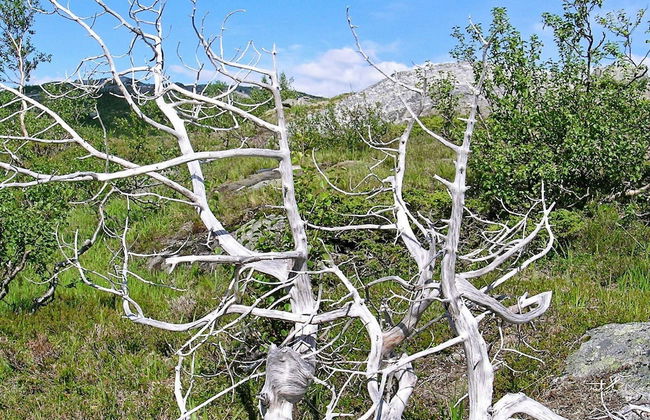 Holiday Home in Inndyr - Foto 22