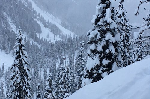 Foto 16 - Snowy Mountain Lodge