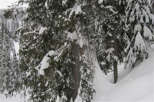 Foto 12 - Snowy Mountain Lodge