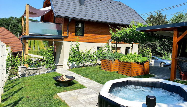 Photo 1 - Vineyard cottage Matej