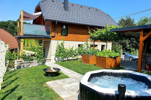 Photo 1 - Vineyard cottage Matej