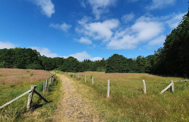 8 Person Holiday Home in Orsted-by Traum - Foto 11