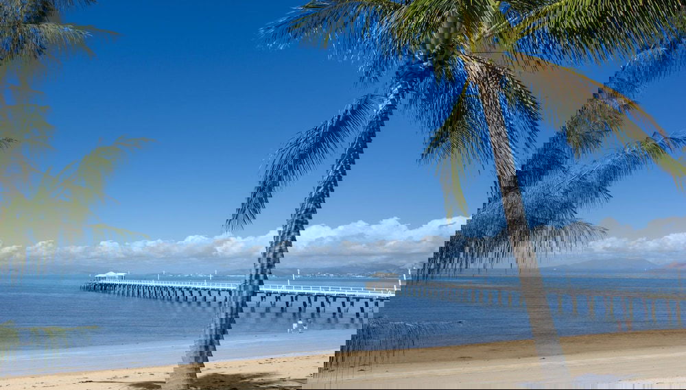 Image principale