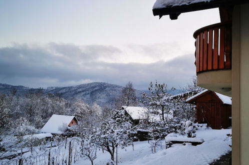 Photo 24 - Vineyard cottage Na hribu