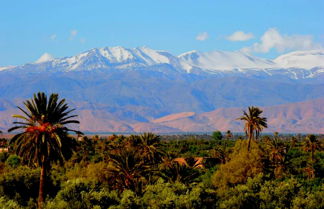 Photo 2 - Appartement Terrasse De Skoura