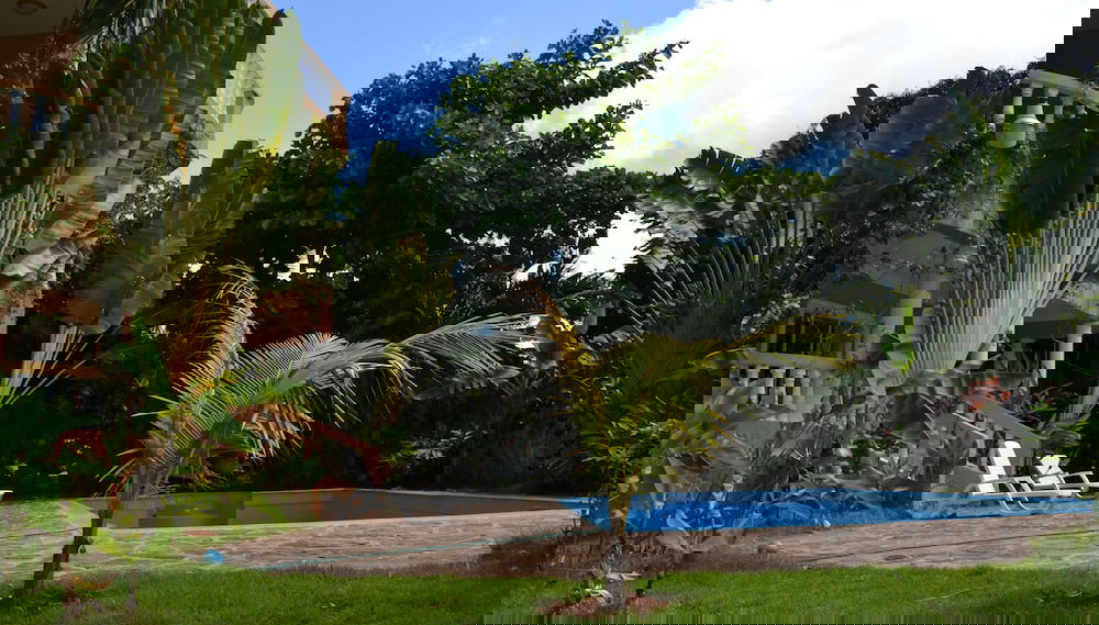 Image principale