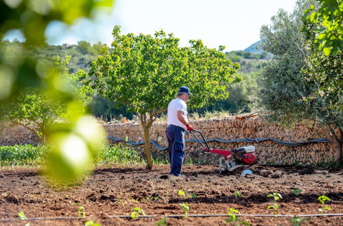 Photo 66 - Finca Sos Ferres D'en Morey