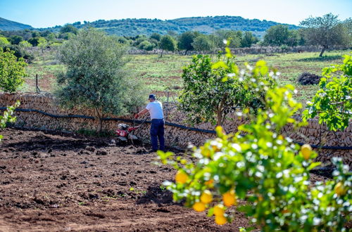 Photo 65 - Finca Sos Ferres D'en Morey