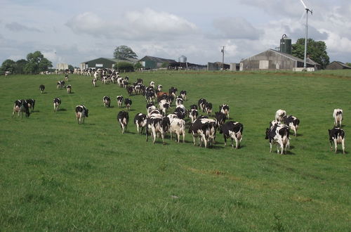 Photo 20 - Broomhills Farm River Eco Pods