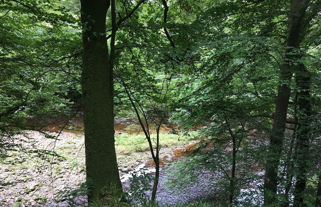 Broomhills Farm River Eco Pods - Foto 19