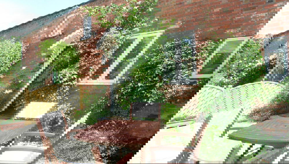 Imagem principal