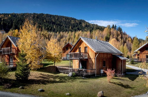 Photo 26 - Chalet in Stadl an der Mur With a Valley View