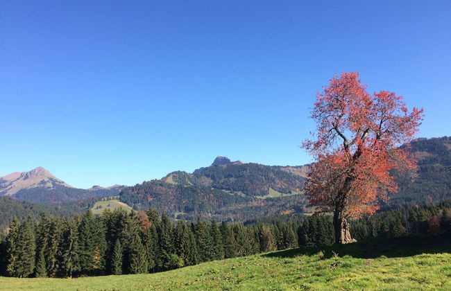 Montreux holiday home - Foto 37