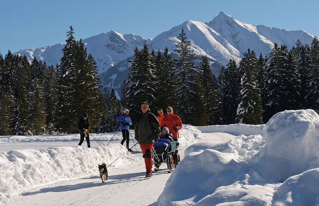 Country House in Seefeld Near Ski Resort - Foto 18