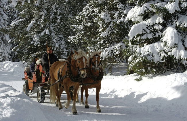 Country House in Seefeld Near Ski Resort - Foto 12