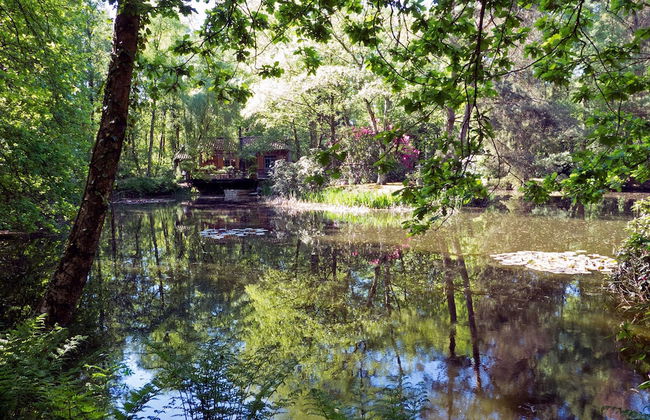Delightful Chalet in Opglabbeek near Lake - Foto 27
